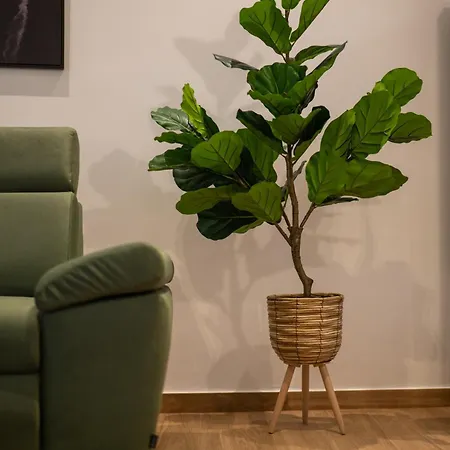 Apartament The Urban Nest By Belmont Realty